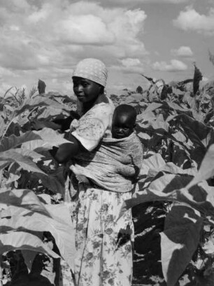 Frau mit Kind in Tabakplantage, Rhodesien, heute Simbabwe, Südafrika, aus der Serie 'Die Welt des Tabaks'