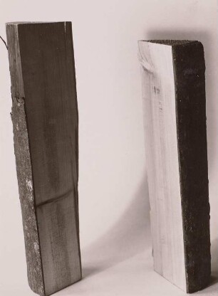Holzbearbeitung. Scheite (Radialschnitt)