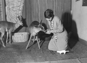 Käthe Hecht beim Füttern ihrer Rehe in der Stube