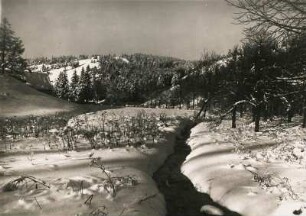 Winter im Harz bei Bad Harzburg