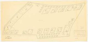 Bundesgartenschau 1955, Kassel: Pflanzplan 1:100, Dahlien und Knollenbegonien (Belgien)