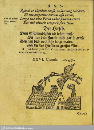 XXVI. Ciconia