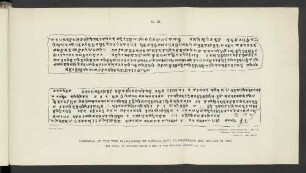 No. III. Facsimile of the two palm-leaves of Horiuz, send to Professor Max Müller in 1880