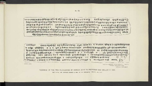 No. III. Facsimile of the two palm-leaves of Horiuz, send to Professor Max Müller in 1880