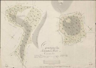 Geometrischer Plan über 2 Stücke herrschaftl. Wald im Canderer Forst