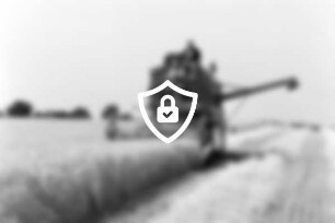 Landwirtschaft: Einbringen der Wintergerste: Landwirt [Name maskiert] und Helfer [Name maskiert] [Name maskiert] Mähdrescher: rechts Feldbereich nach Ernte, Stroh: 1. [Name maskiert]