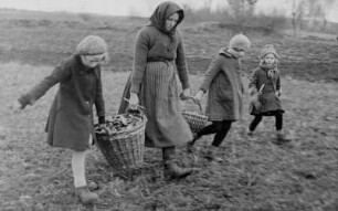 "Viele Steine gabs und wenig Brot" - Kleinbäuerin und Kinder beim Steine aufsammlen auf dem Feld : Kleinbäuerin und Kinder beim Steine aufsammlen auf dem Feld