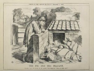 The pig and the peasant