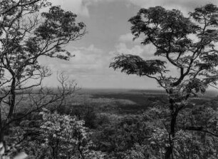 Die Uluguru-Berge : Ebene vor den Uluguru-Bergen