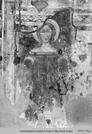 Freskenzyklus mit Szenen aus dem Leben Christi : Südwand des Oratoriums