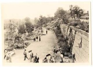 Bundesgartenschau 1955, Kassel: Hang mit Mauer