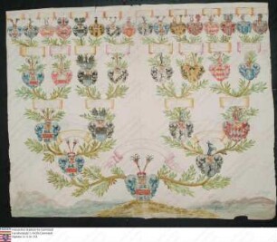 Ahnenprobe des Adam Sigmund Philipp Schenk v. Staufenberg. - ausgefertigt 1715 Mai 23, Pergament