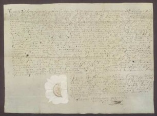 Procuratorium des Franz Georg von Schönborn für den Vikar Holzheimer.