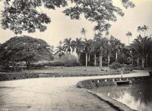 Honolulu, USA. Moanalua-Garten