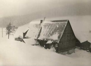 Verschneites Haus am Waldrand in Zinnwald