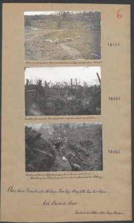 Bei Ban de Sapt: Zerstörte franz. Drahthindernisse nach dem Sturm am 22.06.1915
