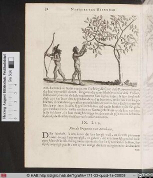 Van de Pruymen van Ikake.