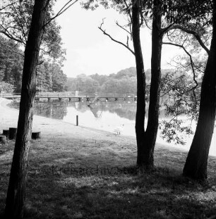 Badeanstalt: am Herrenteich: Blick vom Ufer auf Badesteg: im Vordergrund Liegewiese, Bäume, Schwan