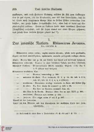 2: Das javanische Nahorn