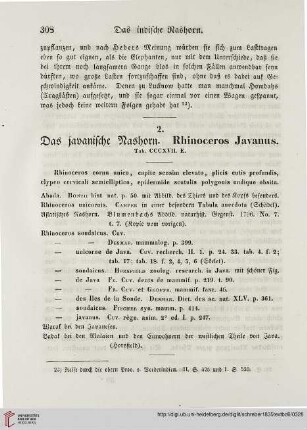 2: Das javanische Nahorn