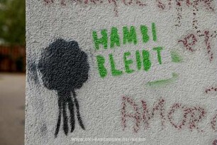 HAMBI BLEIBT