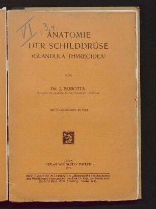 Anatomie der Schilddrüse (Glandula thyreoidea)