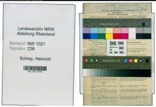 Entnazifizierung Heinrich Schrey , geb. 30.03.1889 (Beamter)