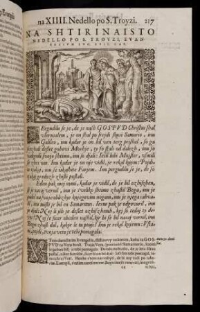 217-231, Na shtirinaisto nedello po S. Troyzi, evangelium Luc. XVII. cap. - Na petnaisto nedello po S. Troyzi, evangelium Math. VI. cap.