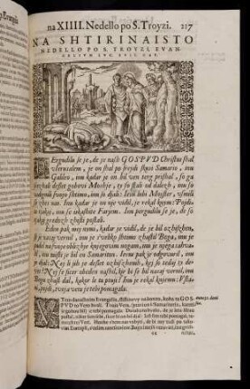 217-231, Na shtirinaisto nedello po S. Troyzi, evangelium Luc. XVII. cap. - Na petnaisto nedello po S. Troyzi, evangelium Math. VI. cap.