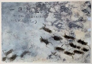 Insekten mit Japanischer Schrift