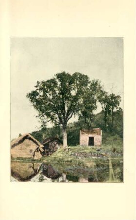 A picturesque farm