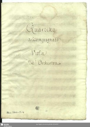 Viola dell orchestra