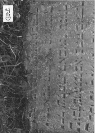 Grabstein 270 (Index: 99786816) Zustand: leicht eingesunken Maße HxBxT: 114x60x13 cm Besonderheit: kulturhistorisch wertvoll / künstl.-formale Gründe (Inschrift): Grabstein 270D