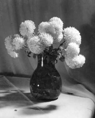 Chrysanthemen in Vasen : Chrysanthemen in Vasen. Ansicht in Rauchglasvase