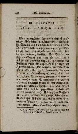 III. Testacea. Die Conchylien