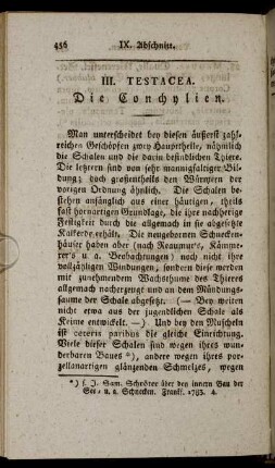 III. Testacea. Die Conchylien
