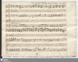 Leucippo. Excerpts - Mus.2477-F-120,8 : S, strings, bc