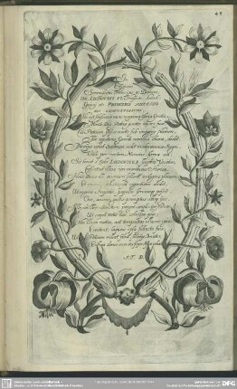 In Effigiem Serenissimi Principis ac Domini, Dn. Ludovici VI. Hassiae Land-Gravii etc. Principis Successoris Exoptatissimi