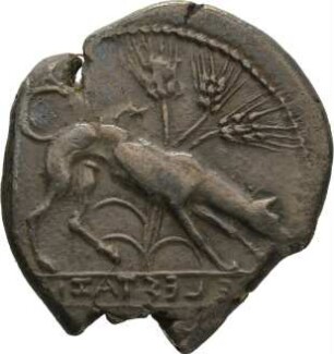 Münze, Didrachme, ca. -415 - -409