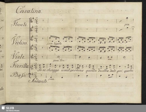 Cavatina: Io vi chieggo umil perdono