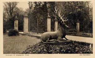 Postkartenalbum mit Motiven von Karlsruhe. "Karlsruhe in Baden, Schlossgarten. Hirsch". Hirschplastik im Schlossgarten vor dem Eingang zum Fasanengarten