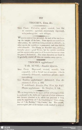 Trochus agglutinans? Tab. XCVIII. - Smaller figures