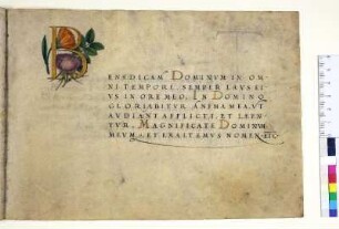 Goldbuchstabe, gefüllt mit Rose und Ringelblume