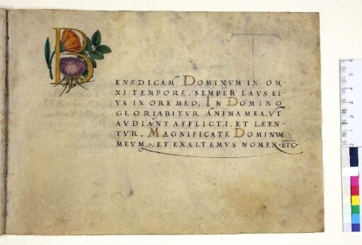 Goldbuchstabe, gefüllt mit Rose und Ringelblume