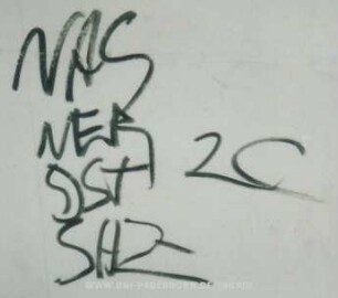 NAS NER DSt SHZ 2C