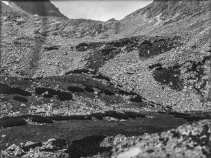 Geröllhang : Blick auf ausgewaschenes Geröll an einem Waldrand