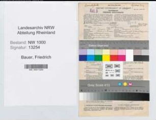 Entnazifizierung Friedrich Bauer, geb. 17.01.1903 (Bankkaufmann)
