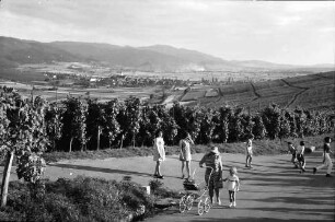 Batzenberg: Spaziergänger und spielende Kinder auf Weinbergstraße
