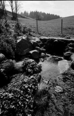 Der Donauursprung (Bregquelle) an der Martinskapelle bei Furtwangen