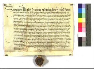 Urteil des Hofgerichts zu Marburg zwischen dem D.O. und dem Pfarrer zu Rosenthal, Ludwig Holzapfel, wegen des Zehnten zu Merzhausen.